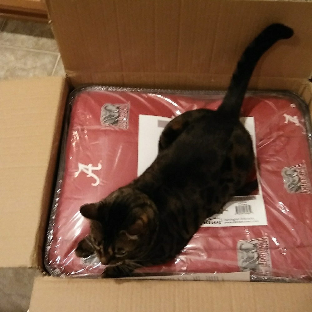 Meet your Posher, James