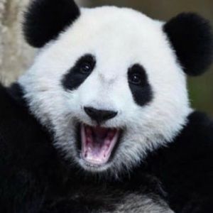 Meet your Posher, Nora