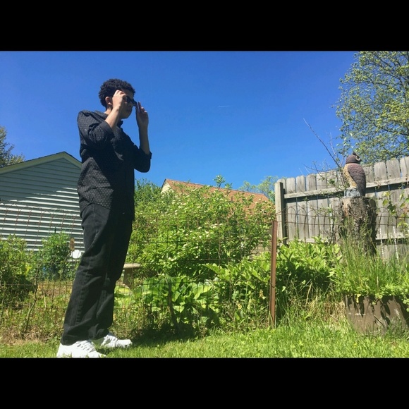 Meet your Posher, Dorian - Picture 1 of 1