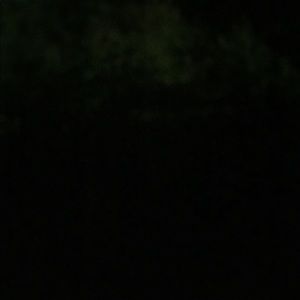 Meet your Posher, Yerry