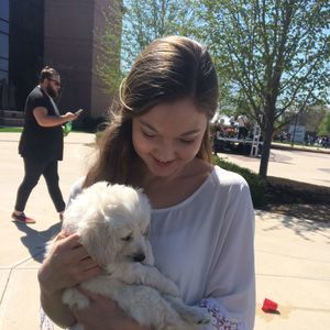 Meet your Posher, Anna