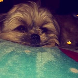 Meet your Posher, Olivia