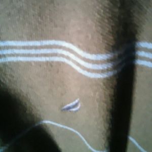 MENS NAUTICA MEDIUM POLO