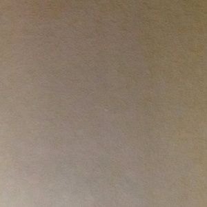 Meet your Posher, Abigail