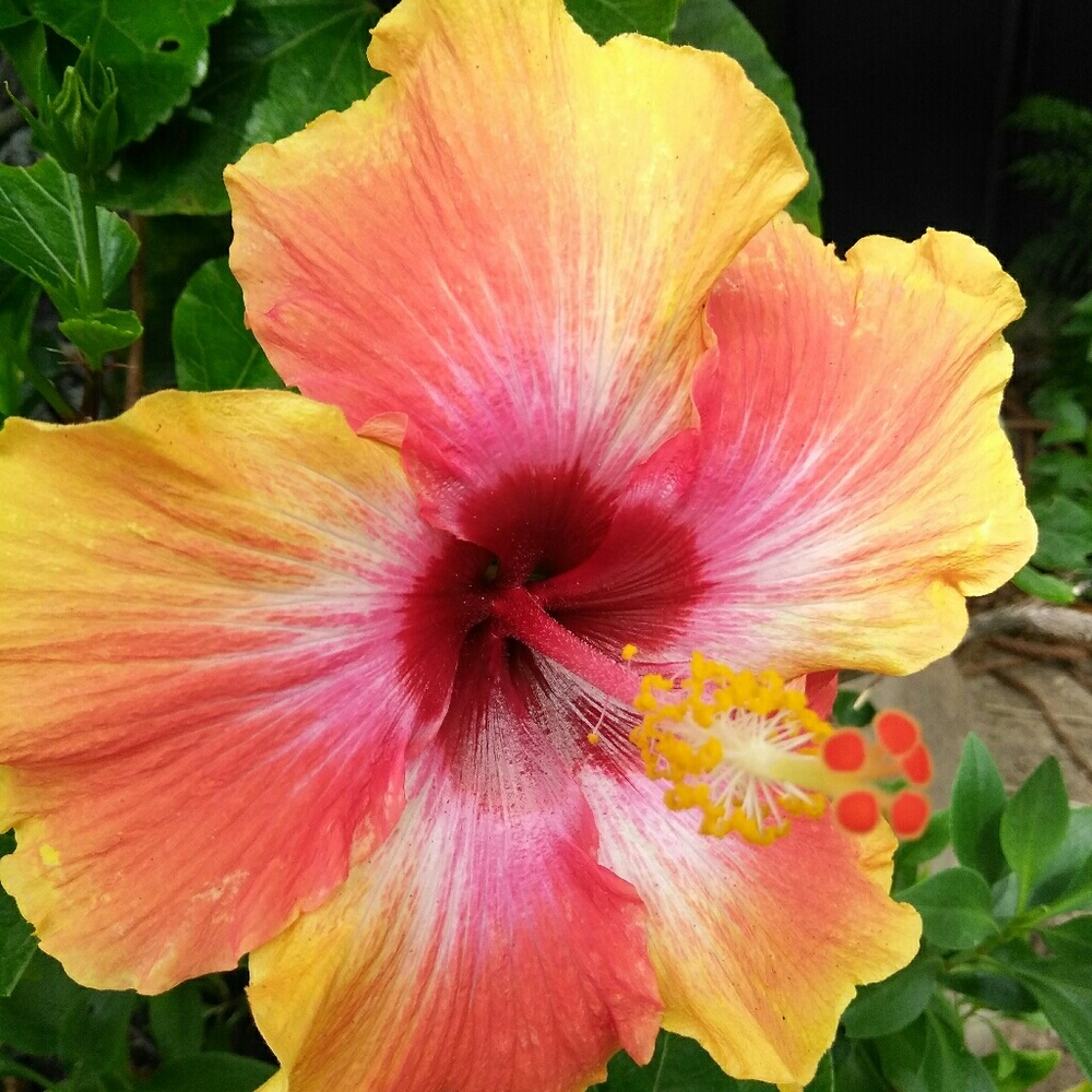 Meet your Posher, Rita