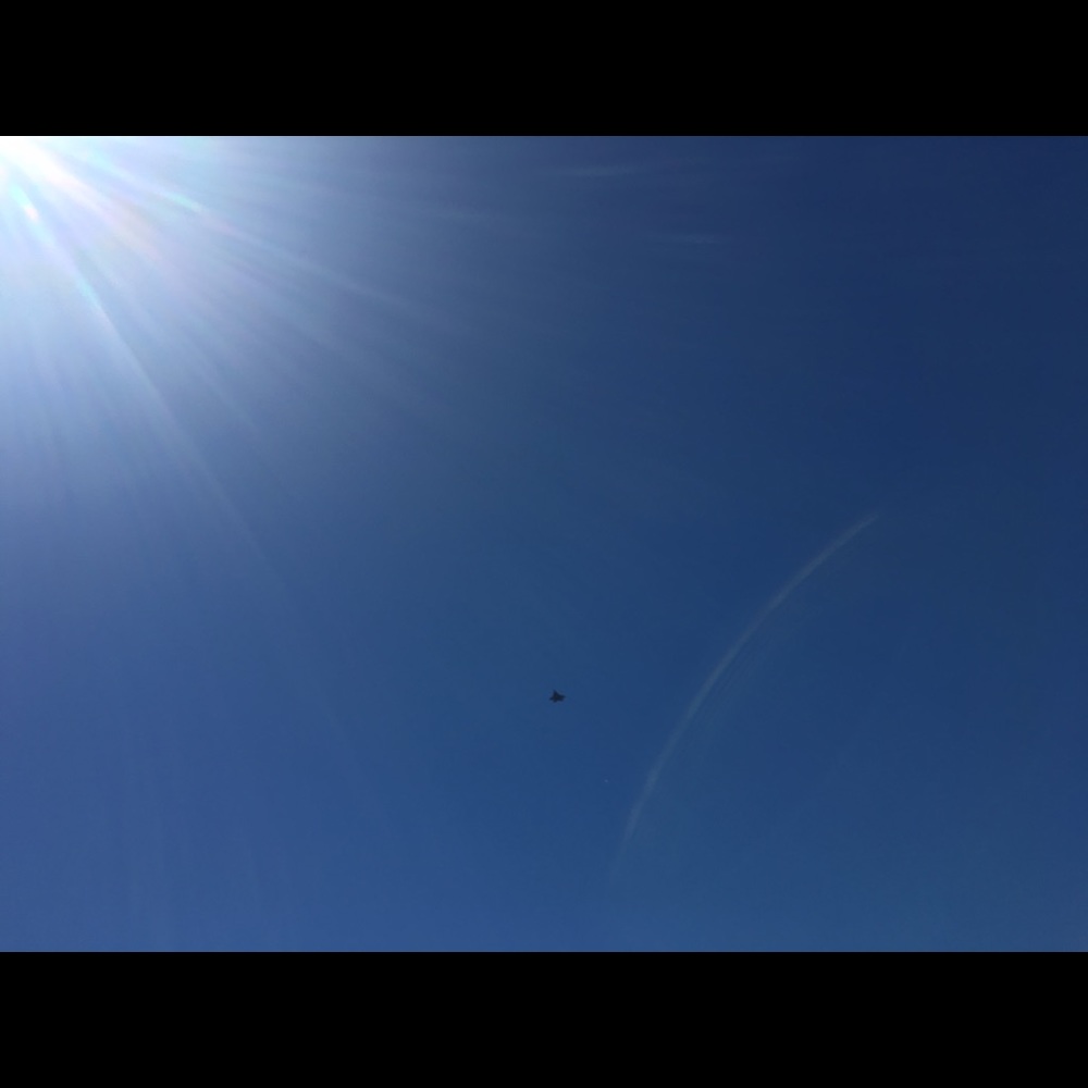 Meet your Posher, Bridget