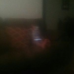 Meet your Posher, Nathan