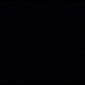 Meet your Posher, Noah