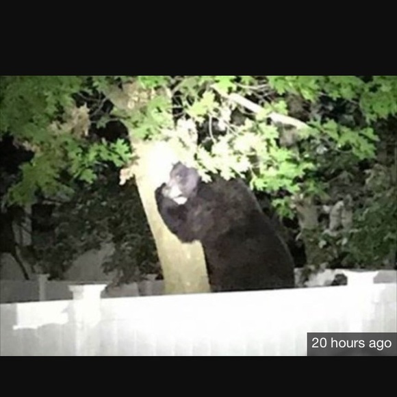 ❌not4sale❌☀️🌴free sunshine🌴☀️lol - Picture 3 of 6