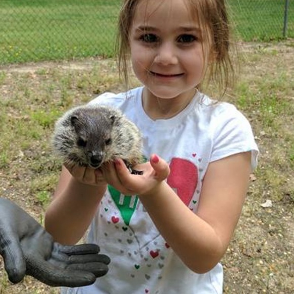 ❌not4sale❌☀️🌴free sunshine🌴☀️lol - Picture 4 of 6