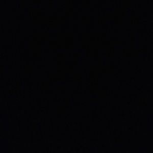 Meet your Posher, Daniela