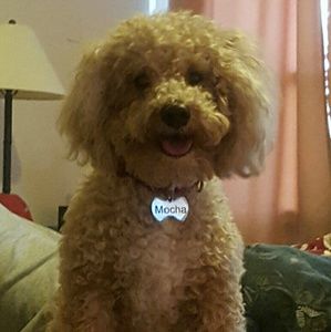 Meet your Posher, Samantha