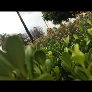 Meet your Posher, Aria