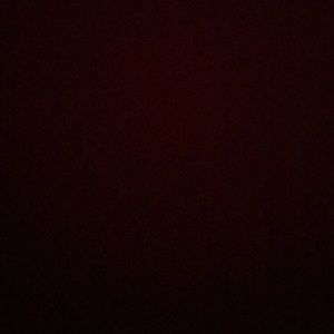 Meet your Posher, Abbie