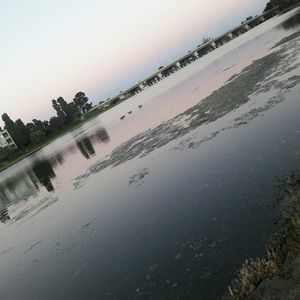 Meet your Posher, Aly