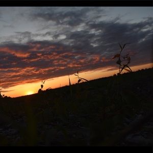 Meet your Posher, Mary ellis