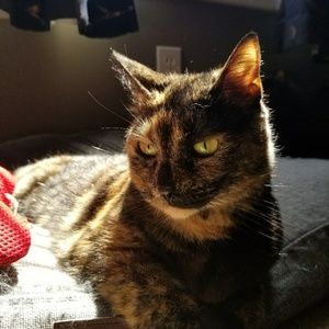 Meet your Posher, Grant