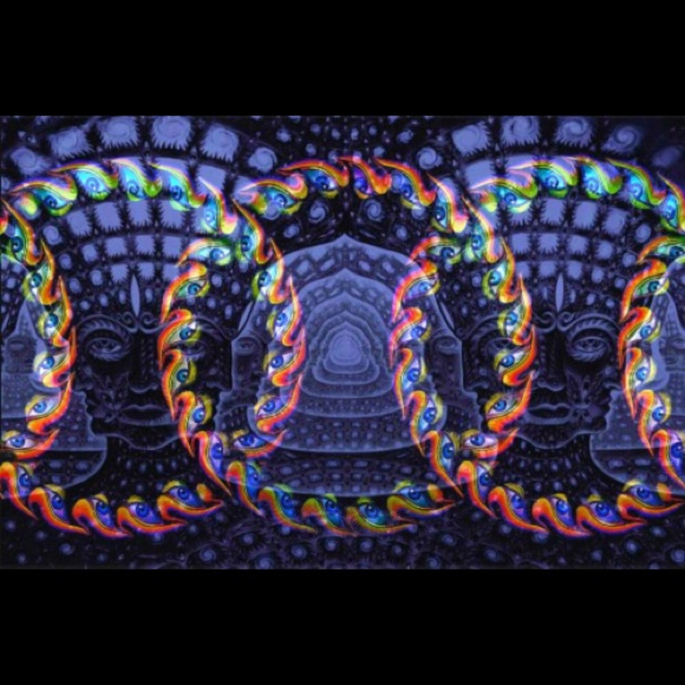 Meet your Posher, Dominique