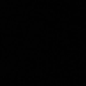 Meet your Posher, Concepcion