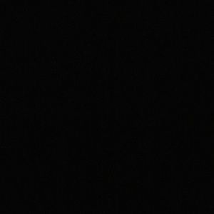 Meet your Posher, Bella