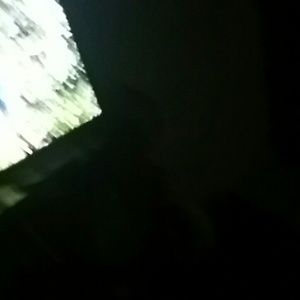 Meet your Posher, Nina