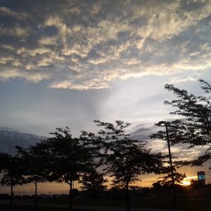 Meet your Posher, Shanena