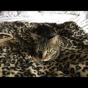 Meet your Posher, Cayla