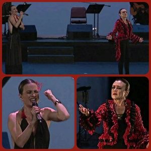 Meet your Posher, Maribel