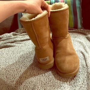 Short chestnut uggs