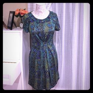 BCBGMaxAzria XS Rayon/Spandex Leopard Print Dress