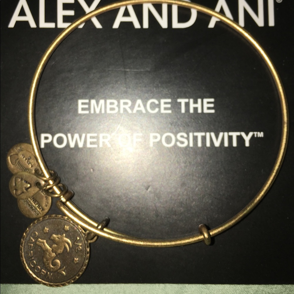 Alex and Ani Rafaelian Gold Bracelet
