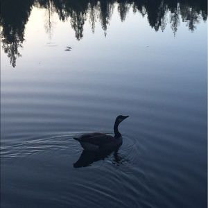 Meet your Posher, Claire