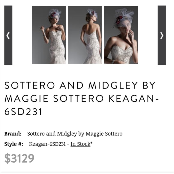 Brand New Beautiful Wedding Gown - Picture 2 of 2