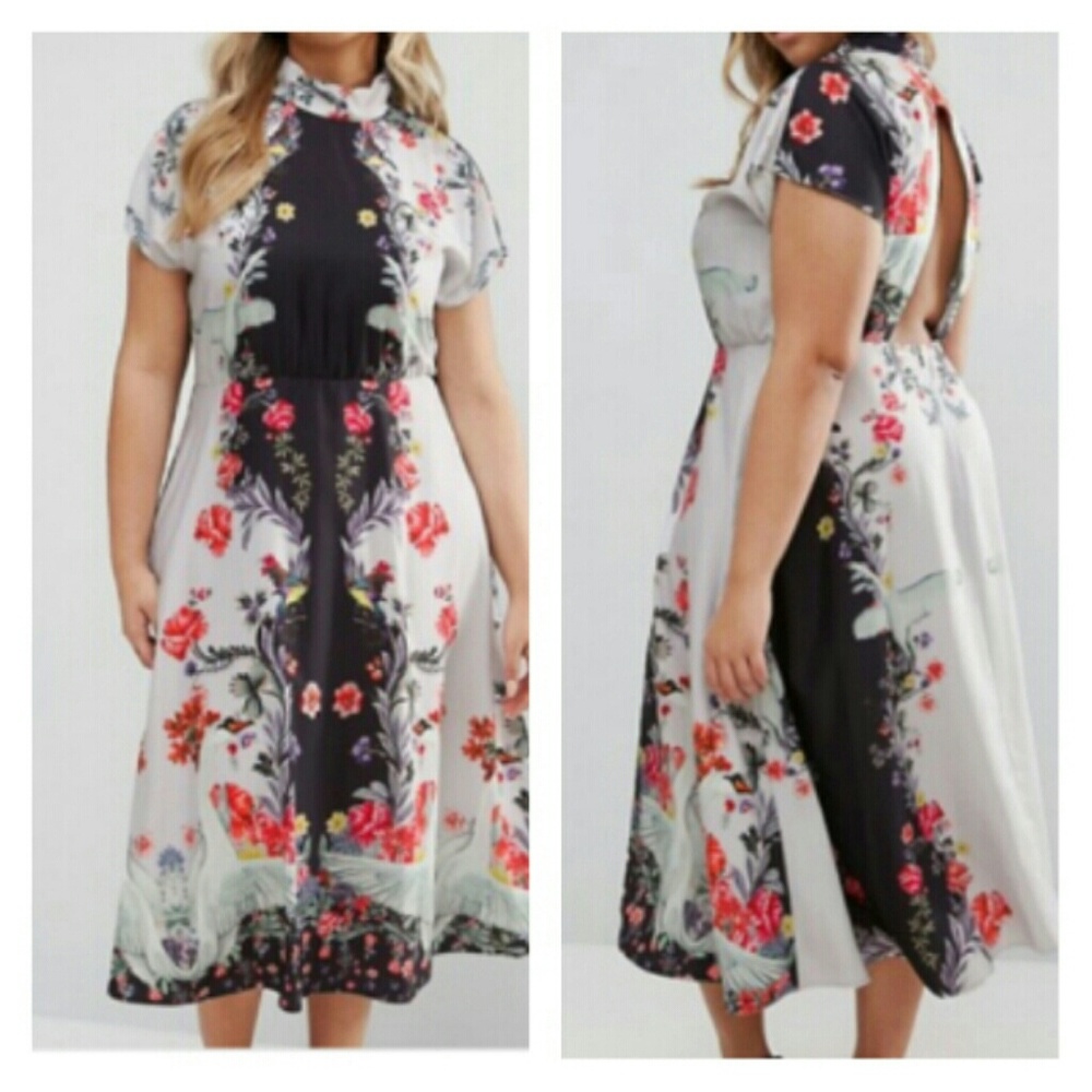 IN SEARCH OF ASOS Curve Midi Dress Swan Print