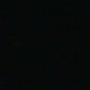 Meet your Posher, Timmy