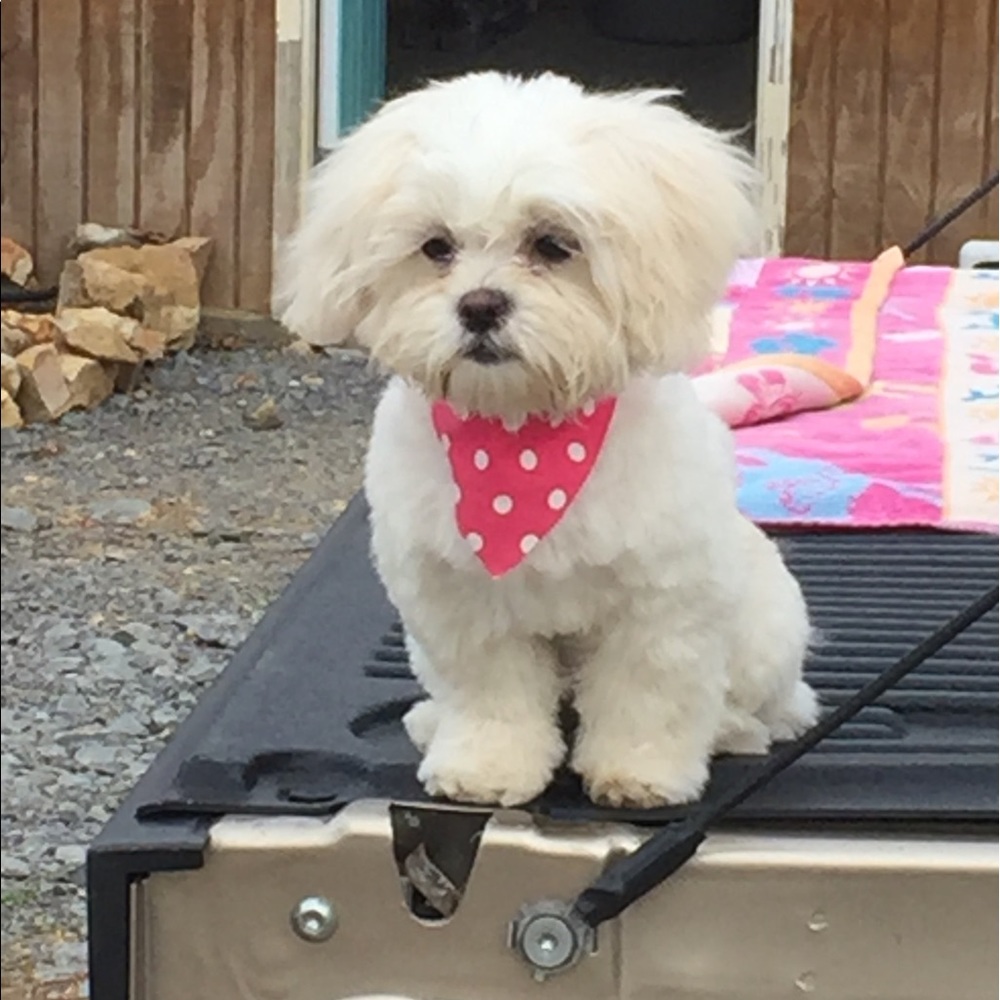 Meet your Posher, Marilyn