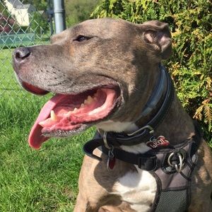 Meet your Posher, Katherine