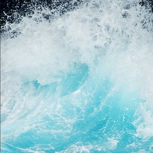 Meet your Posher, Bridget