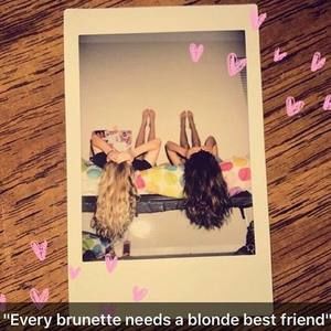 Meet your Posher, Taylor