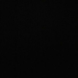 Meet your Posher, Fred