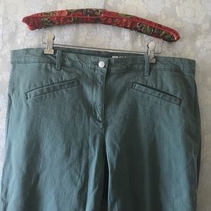 Gap Modern Stretch Skinny Crop Pants