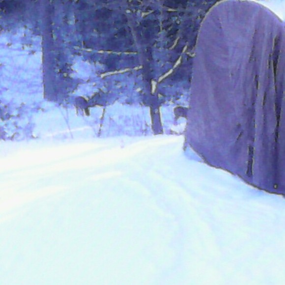 Meet your Posher, Martin - Picture 1 of 1