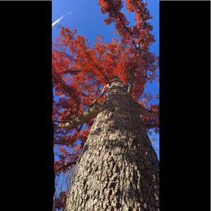 Meet your Posher, Seth