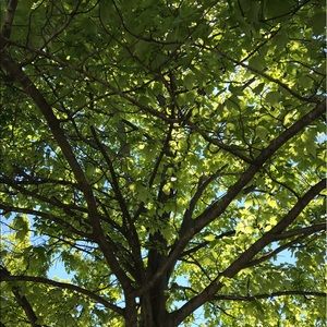 Meet your Posher, Sharwari