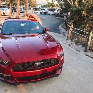 Meet your Posher, Meghann