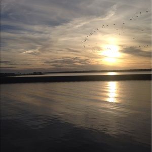 Meet your Posher, Annie