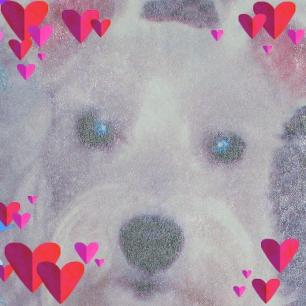 Meet your Posher, Joanne