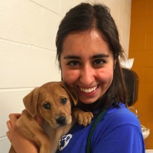 Meet your Posher, Greta