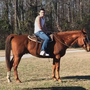 Meet your Posher, Nick