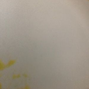 Meet your Posher, Kodee